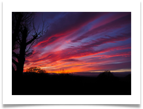 CHRISTMAS SUNSET - Steve Hodson